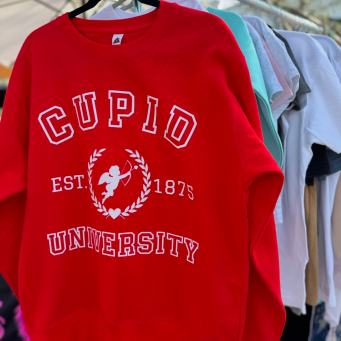 Sweatshirts & Hoodies
